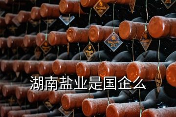 湖南鹽業是國企么