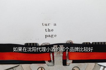 如果在沈陽代理小酒的那個(gè)品牌比較好