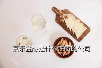 京東金融是什么性質的公司