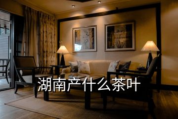 湖南產什么茶葉