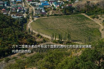 六十二度衡水老白干有這個度數的酒嗎它的包裝是玻璃瓶嗎他的防偽標
