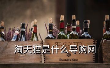 淘天貓是什么導購網