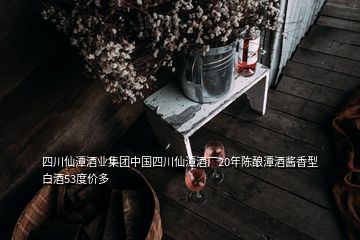 四川仙潭酒業集團中國四川仙潭酒廠20年陳釀潭酒醬香型白酒53度價多