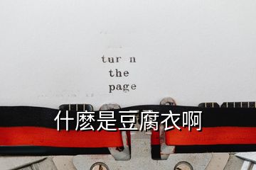 什麼是豆腐衣啊