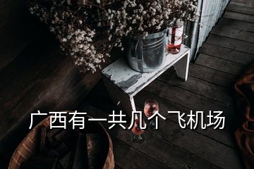 廣西有一共幾個飛機場