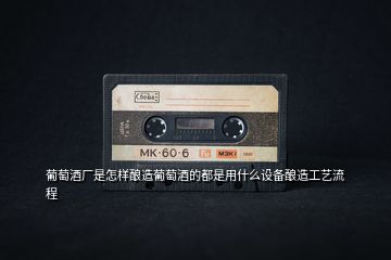 葡萄酒廠是怎樣釀造葡萄酒的都是用什么設備釀造工藝流程