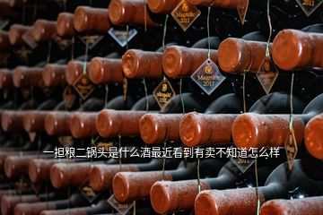 一擔糧二鍋頭是什么酒最近看到有賣不知道怎么樣