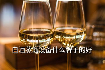 白酒蒸餾設備什么牌子的好