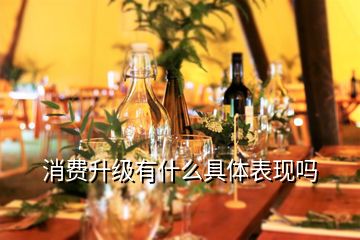 消費升級有什么具體表現嗎