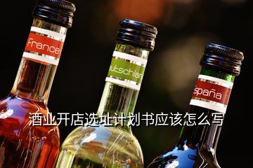 酒業開店選址計劃書應該怎么寫