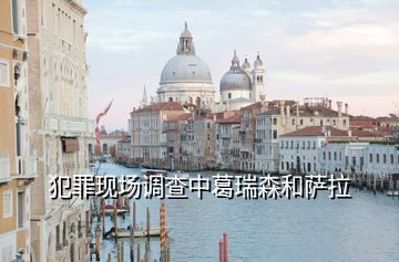 犯罪現(xiàn)場(chǎng)調(diào)查中葛瑞森和薩拉