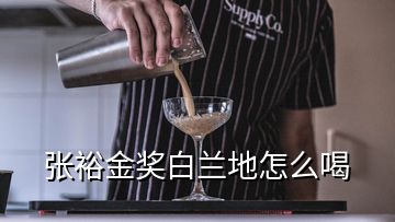張裕金獎白蘭地怎么喝