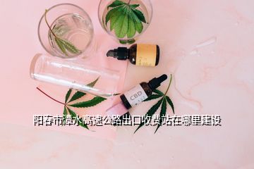 陽春市潭水高速公路出口收費站在哪里建設