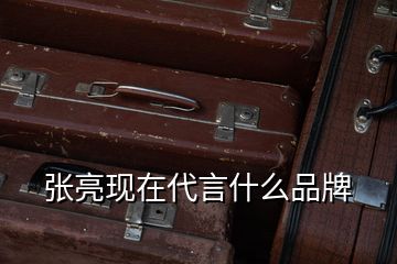 張亮現在代言什么品牌