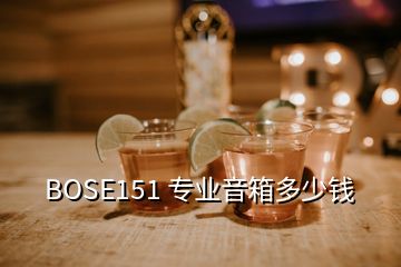 BOSE151 專業音箱多少錢