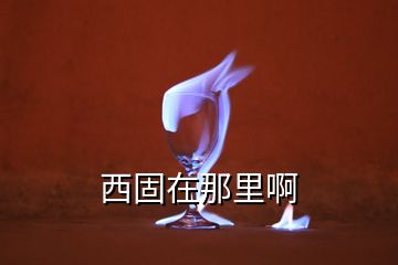 西固在那里啊