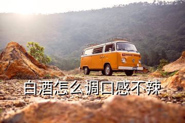 白酒怎么調口感不辣