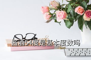 醬酒54度是基本度數嗎