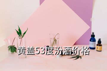 黃蓋53度汾酒價格