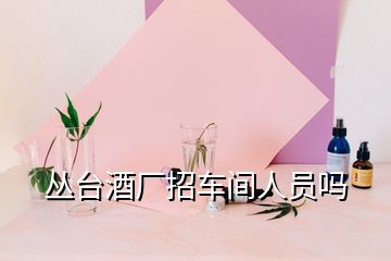 叢臺酒廠招車間人員嗎