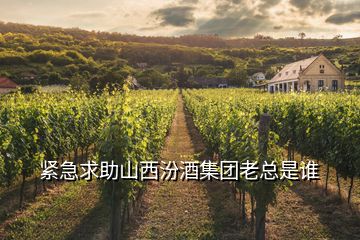 緊急求助山西汾酒集團老總是誰
