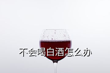 不會喝白酒怎么辦