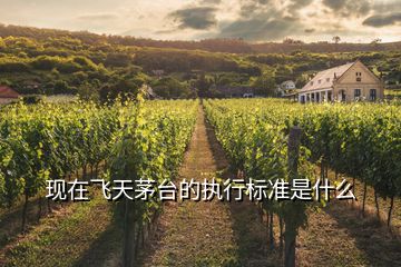 現在飛天茅臺的執行標準是什么
