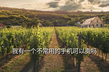 我有一個(gè)不常用的手機(jī)可以賣嗎
