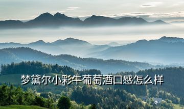 夢(mèng)黛爾小彩牛葡萄酒口感怎么樣