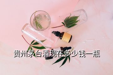 貴州茅臺酒現在多少錢一瓶