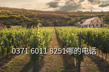 0371 6011 8251哪的電話