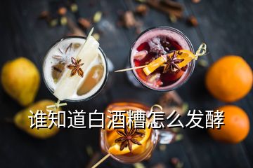 誰知道白酒糟怎么發酵
