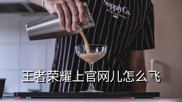 王者榮耀上官網兒怎么飛
