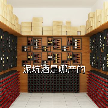泥坑酒是哪產的