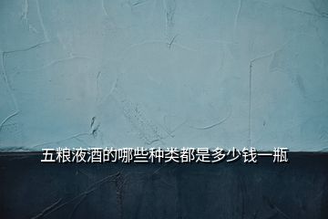 五糧液酒的哪些種類(lèi)都是多少錢(qián)一瓶