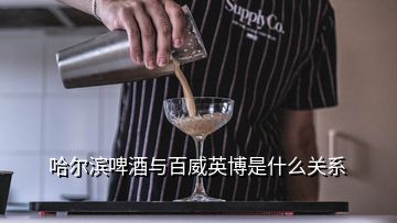 哈爾濱啤酒與百威英博是什么關系