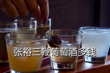 張裕三鞭葡萄酒多錢