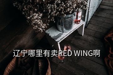 遼寧哪里有賣RED WING啊