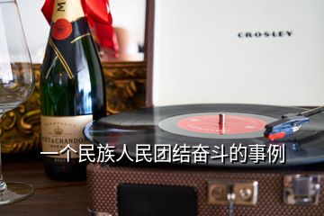 一個民族人民團結奮斗的事例
