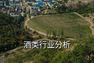 酒類行業分析