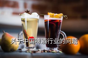 關于中國啤酒行業的問題