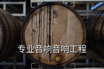 專業音響音響工程