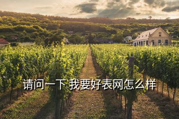 請問一下 我要好表網怎么樣