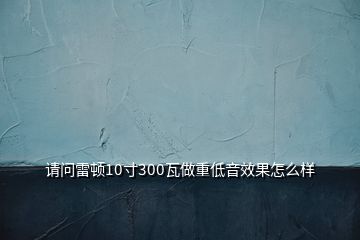 請問雷頓10寸300瓦做重低音效果怎么樣