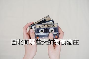 西北有哪些大的葡萄酒莊