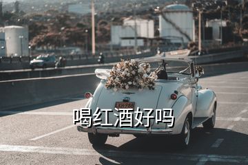 喝紅酒好嗎