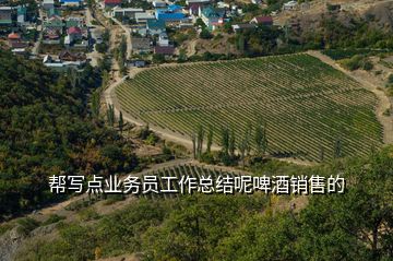 幫寫點業務員工作總結呢啤酒銷售的