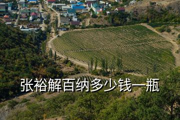 張裕解百納多少錢一瓶