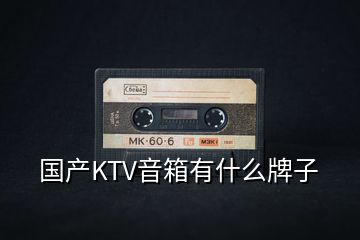 國產KTV音箱有什么牌子