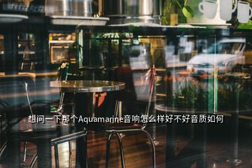 想問一下那個Aquamarine音響怎么樣好不好音質如何